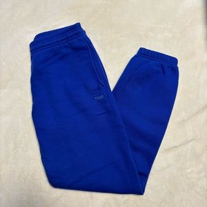 Aritzia blue boyfriend sweatpants